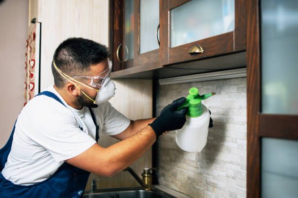 Best Wildlife Control Services  in Evadale, TX