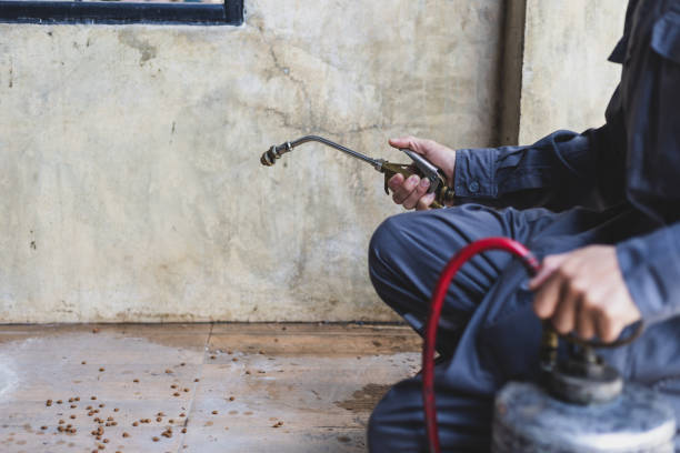 Best Commercial Pest Control Services  in Evadale, TX